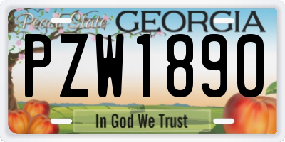GA license plate PZW1890