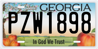 GA license plate PZW1898