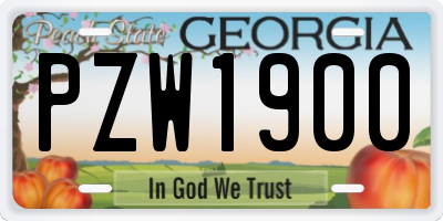 GA license plate PZW1900