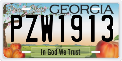 GA license plate PZW1913