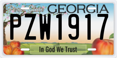 GA license plate PZW1917