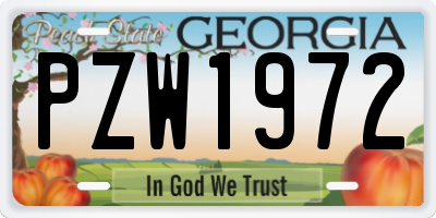 GA license plate PZW1972