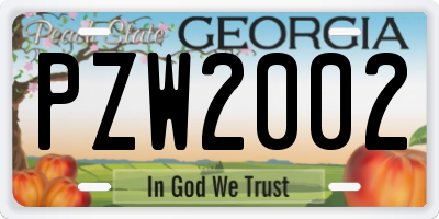 GA license plate PZW2002