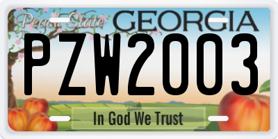 GA license plate PZW2003