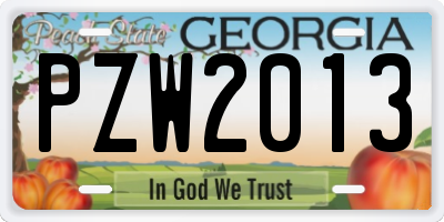GA license plate PZW2013