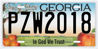GA license plate PZW2018