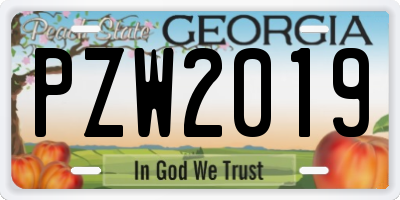 GA license plate PZW2019