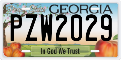 GA license plate PZW2029