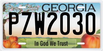 GA license plate PZW2030