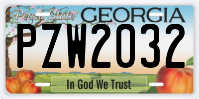GA license plate PZW2032