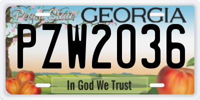 GA license plate PZW2036