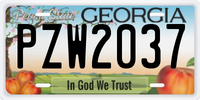 GA license plate PZW2037