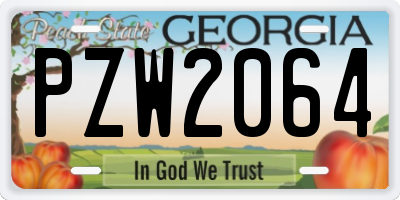 GA license plate PZW2064