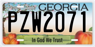 GA license plate PZW2071