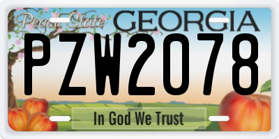 GA license plate PZW2078