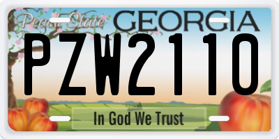 GA license plate PZW2110