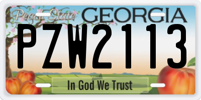 GA license plate PZW2113