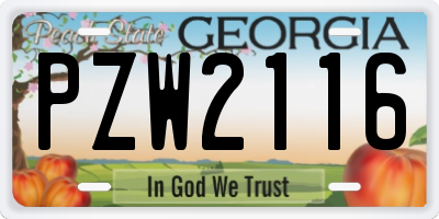 GA license plate PZW2116
