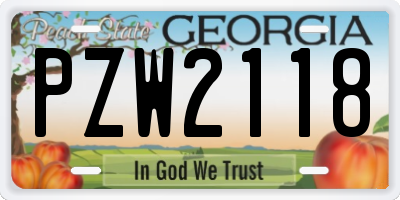GA license plate PZW2118