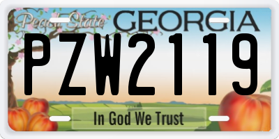 GA license plate PZW2119