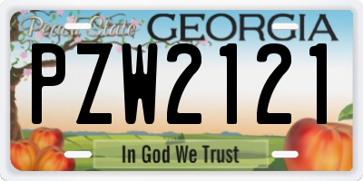 GA license plate PZW2121