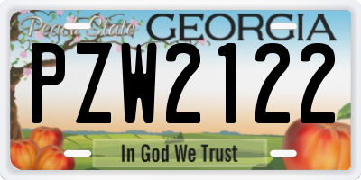 GA license plate PZW2122