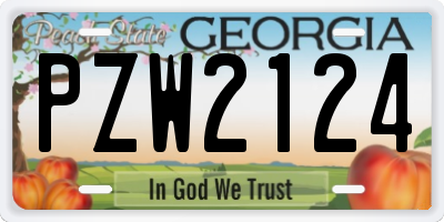 GA license plate PZW2124