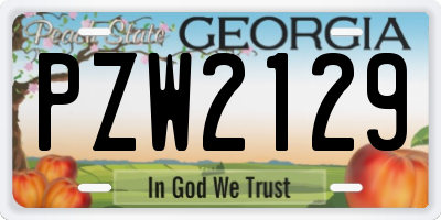 GA license plate PZW2129