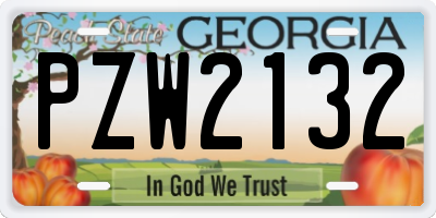 GA license plate PZW2132