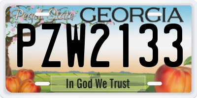 GA license plate PZW2133