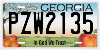 GA license plate PZW2135