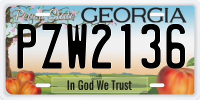 GA license plate PZW2136