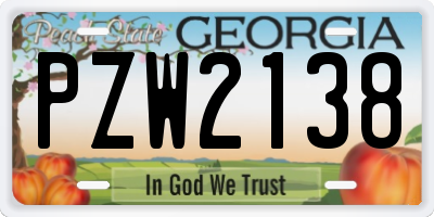 GA license plate PZW2138
