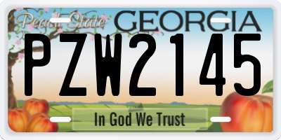 GA license plate PZW2145