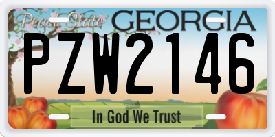 GA license plate PZW2146