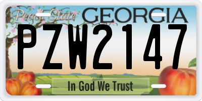 GA license plate PZW2147