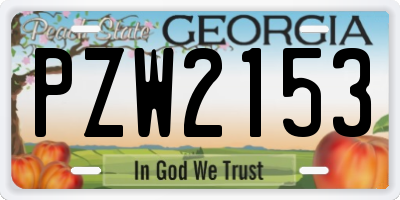 GA license plate PZW2153