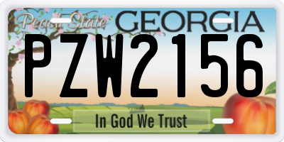 GA license plate PZW2156