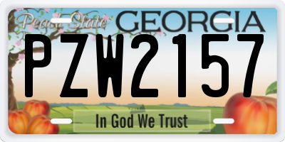 GA license plate PZW2157