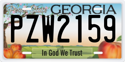 GA license plate PZW2159