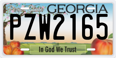 GA license plate PZW2165
