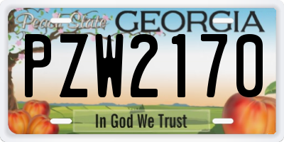 GA license plate PZW2170