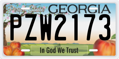 GA license plate PZW2173