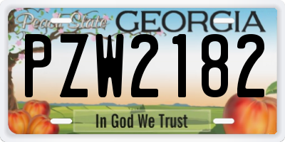 GA license plate PZW2182