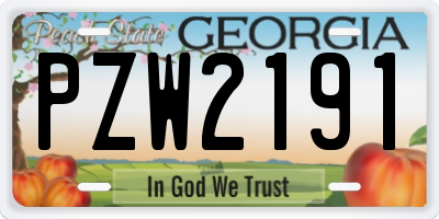 GA license plate PZW2191