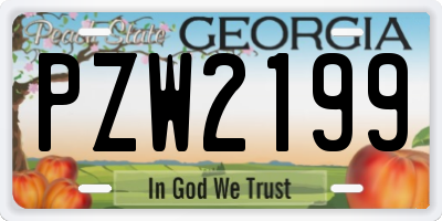 GA license plate PZW2199