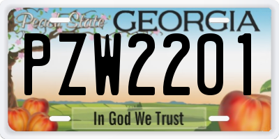 GA license plate PZW2201