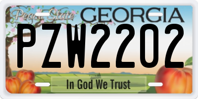 GA license plate PZW2202