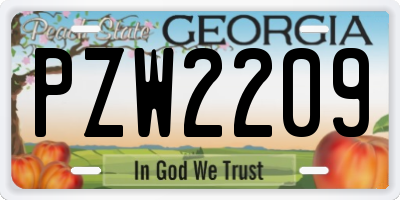 GA license plate PZW2209