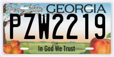 GA license plate PZW2219
